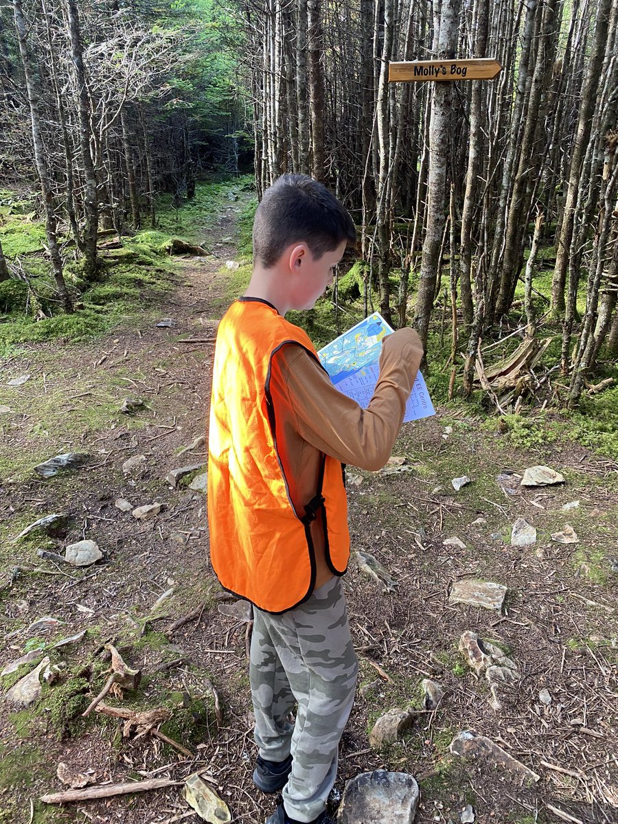 Meagan Perry tweet media