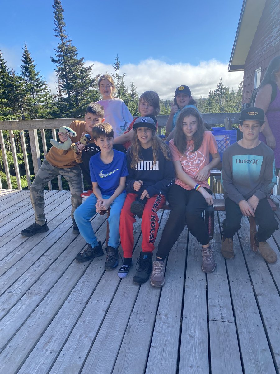 Meagan Perry tweet media