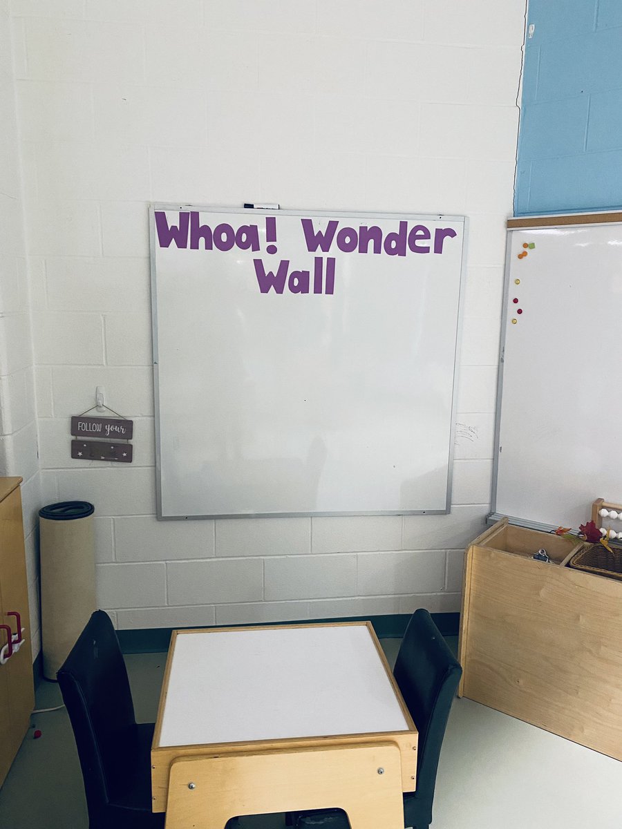 After reading “The World Needs More Purple Schools”, we created a new wonder wall to remind us to continue to be inquisitive and curious! I can’t wait to see what questions the students come up with!