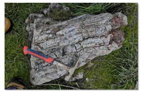 LegacyMinerals's tweet image. Widespread sinter lithology confirmed at Black Range, interpreted to represent a preserved low-sulphidation #epithermal Au-Ag system. Black Range has parallels with our Bauloora Project, under JV with Newmont Mining.
Read: bit.ly/3RPDPhH
$LGM #gold