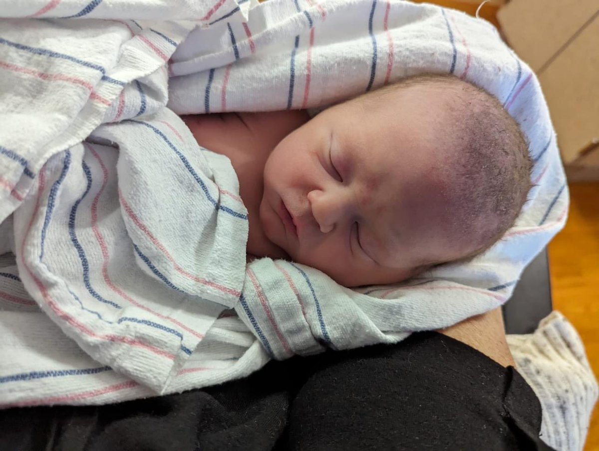 🧝‍♂️ Fangirl 🗑 || Dani 🎨 tweet media