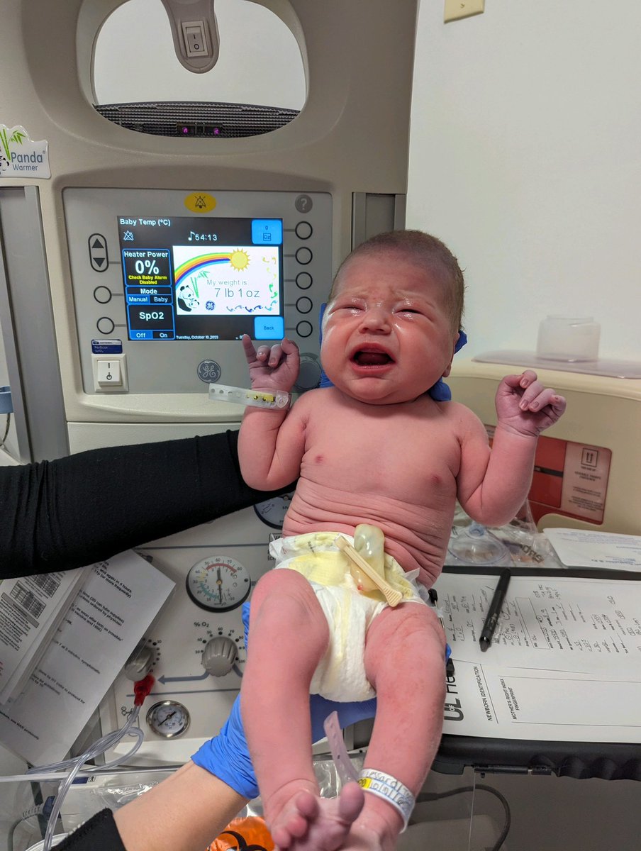 🧝‍♂️ Fangirl 🗑 || Dani 🎨 tweet media