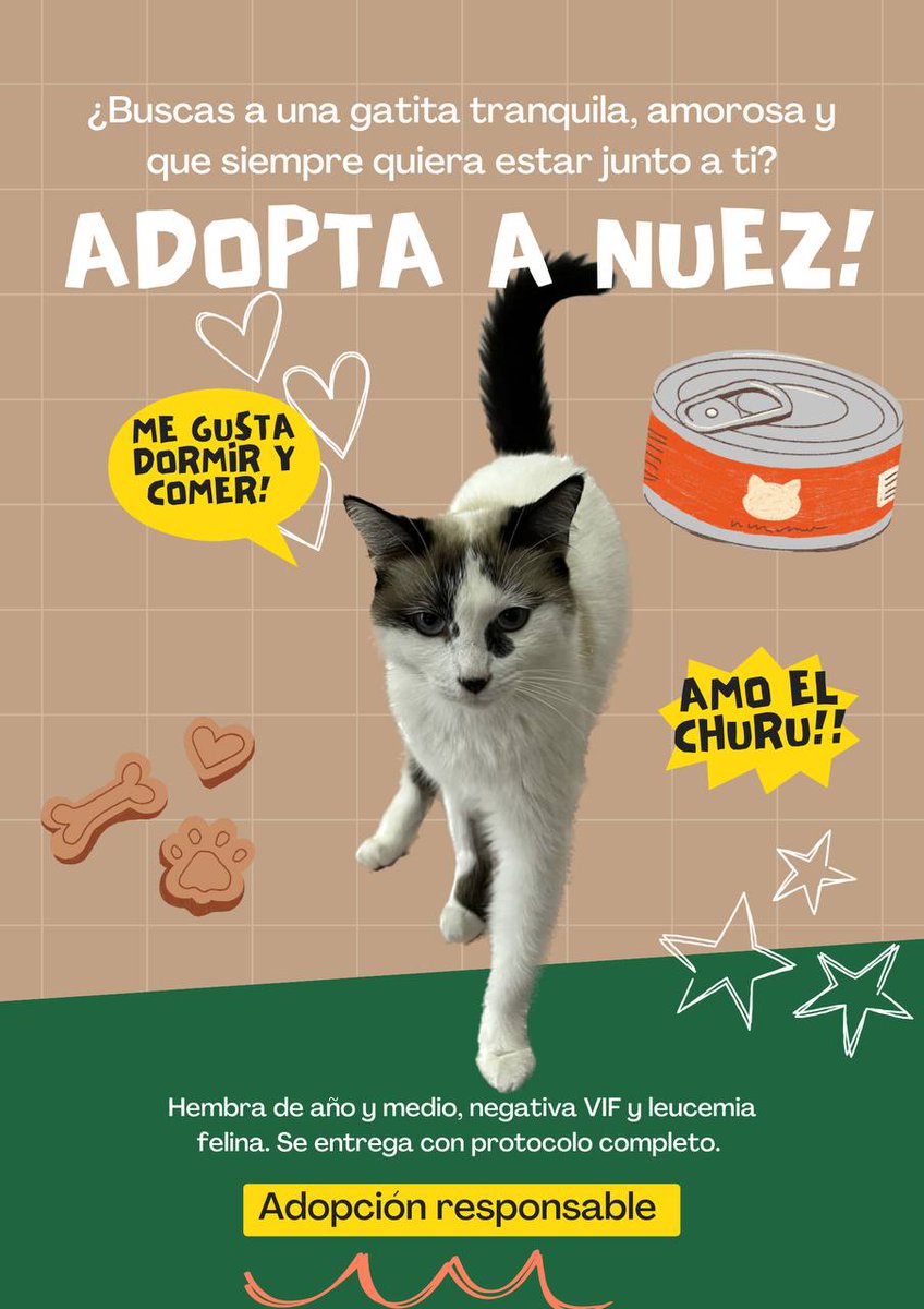 ¡Hola! hace ya varias semanas rescaté a estas gatitas que llegaron pidiendo comida a mi calle. Ya están listas para su adopción, se pueden ir juntas o por separado. Más información por DM :) 

Si no pueden adoptar, ayúdenme a compartir 💕