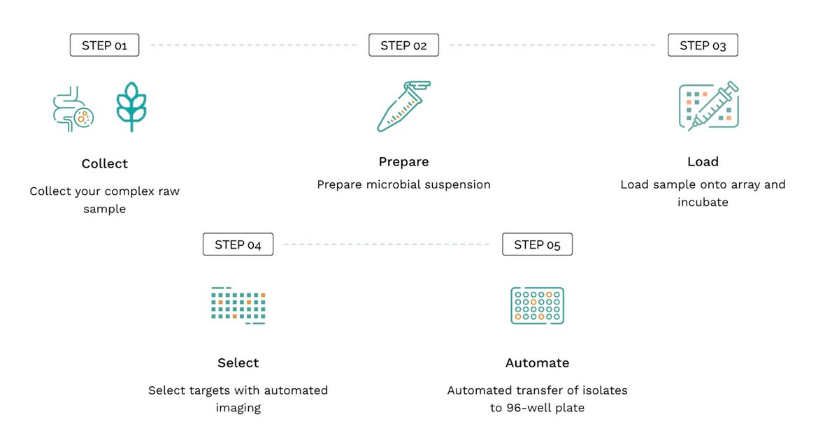 IsolationBio's tweet image. The Prospector #microbial cultivation workflow is as simple as:
Prep Sample &amp;gt; Load Array &amp;gt; Incubate Array &amp;gt; Image Array &amp;gt; Select Positives and Go! 
Come back in ~ 1 hour and grab your plate of microbial isolates 👏🏽.
Microbial Cultivation that is high-throughput and easy to do.