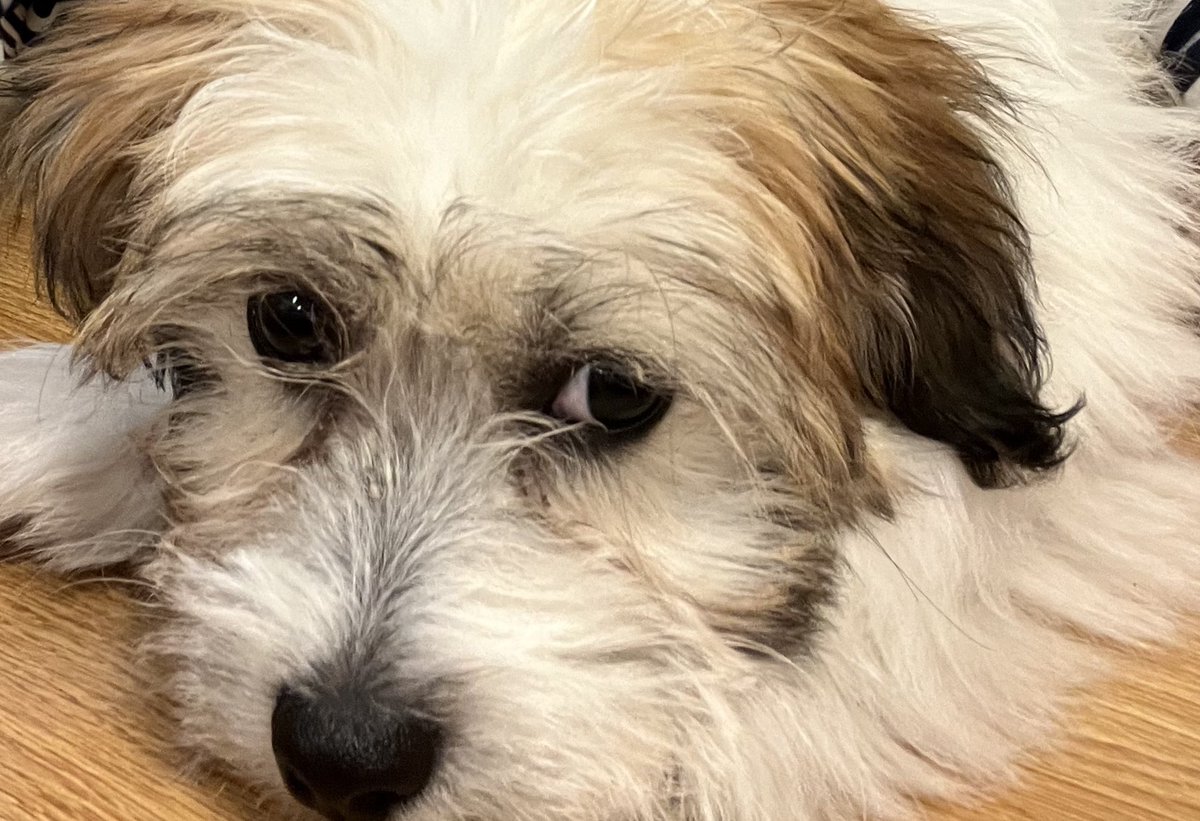 Sunshine’s First drawing of the school year! ✅ Congratulations to Ms. Cote and Leo for winning the Laundry basket of goodies and gift certificate from Quick Clean Laundry!  Please donate soon to be entered into our next drawing at the end of the month!!! #SendingSunshine