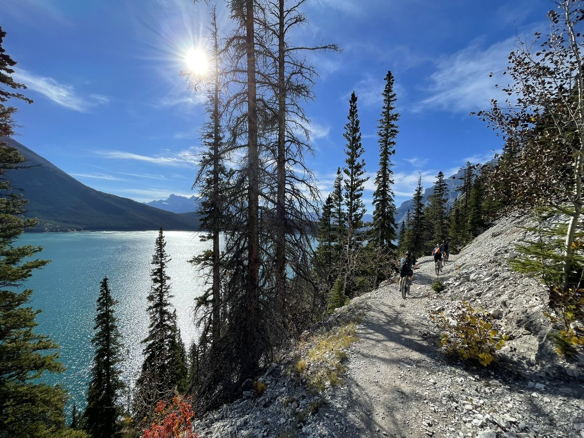 Meredith Angel tweet media