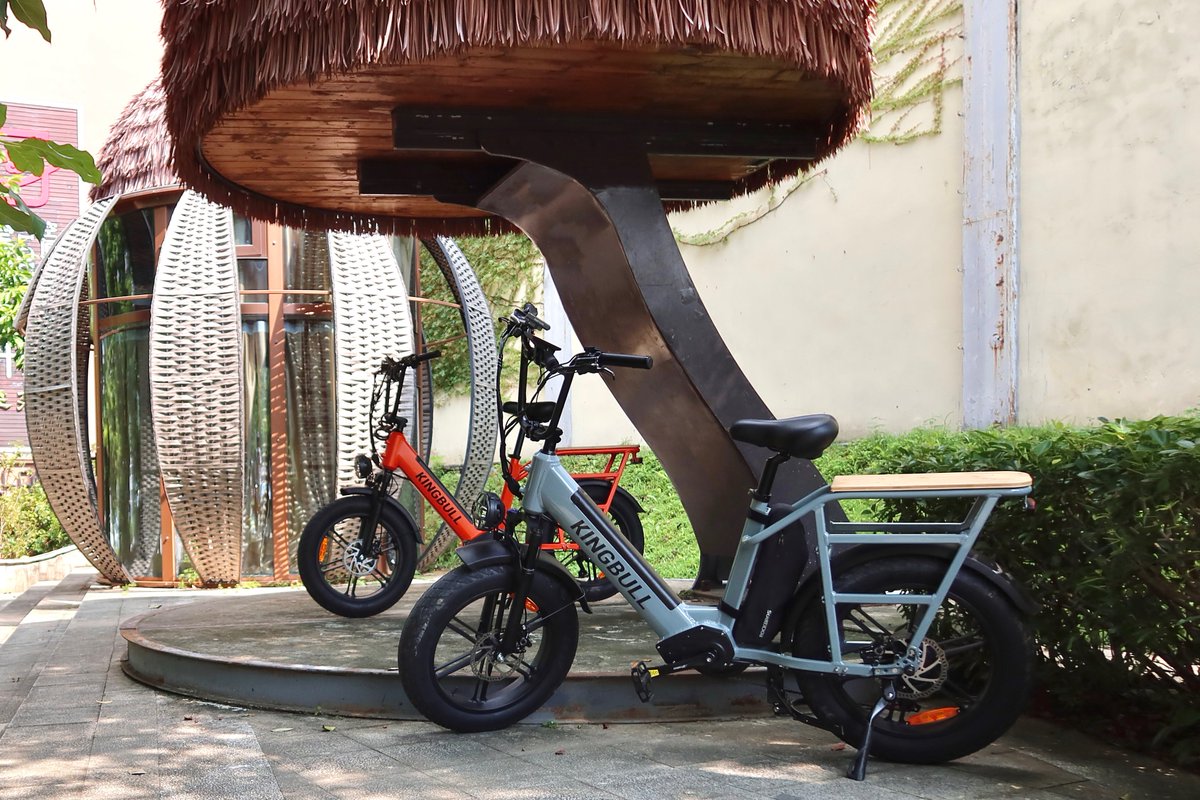 kingbullbike's tweet photo. Kingbull electric bikes bask in the cool shade！
#ebike #ebikes #ebikeshop #ebikelife #ebikestore #ebikestyle #bike #bikers #bikelove #bikeride #riding #Kingbull #USA  #diary https://t.co/yDleu12PCf
