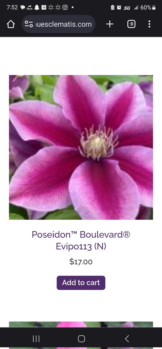 ☕☃️Kat☃️☕ tweet media