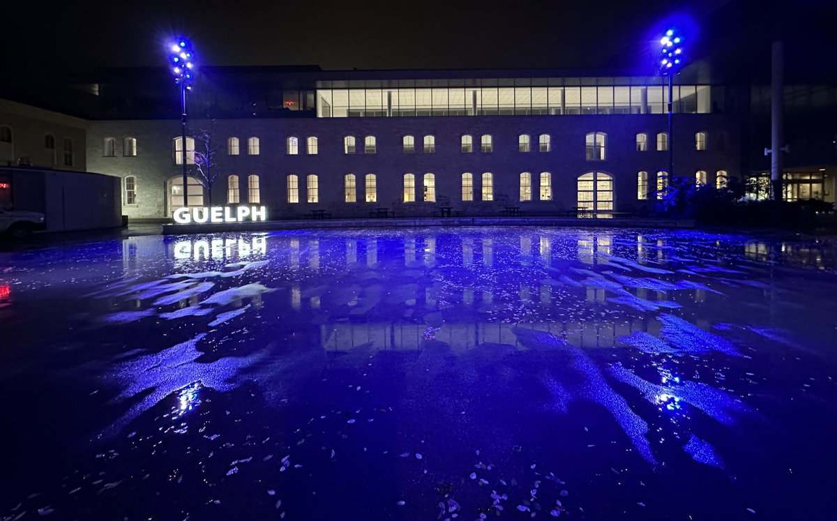 CamGuthrie's tweet photo. A beautiful showing of solidarity by lighting up #Guelph City Hall in blue and white to grieve and stand with our local Jewish community and Israel over the senseless acts of terrorism. 🇮🇱 https://t.co/qk1ILFJR7Q