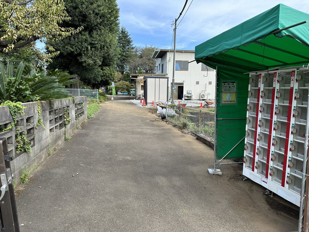 yoshino_en's tweet image. 10/11（水）赤いキウイ【紅妃（こうひ）】対面販売中 
#MyLocal #三鷹 #キウイ #よしの園