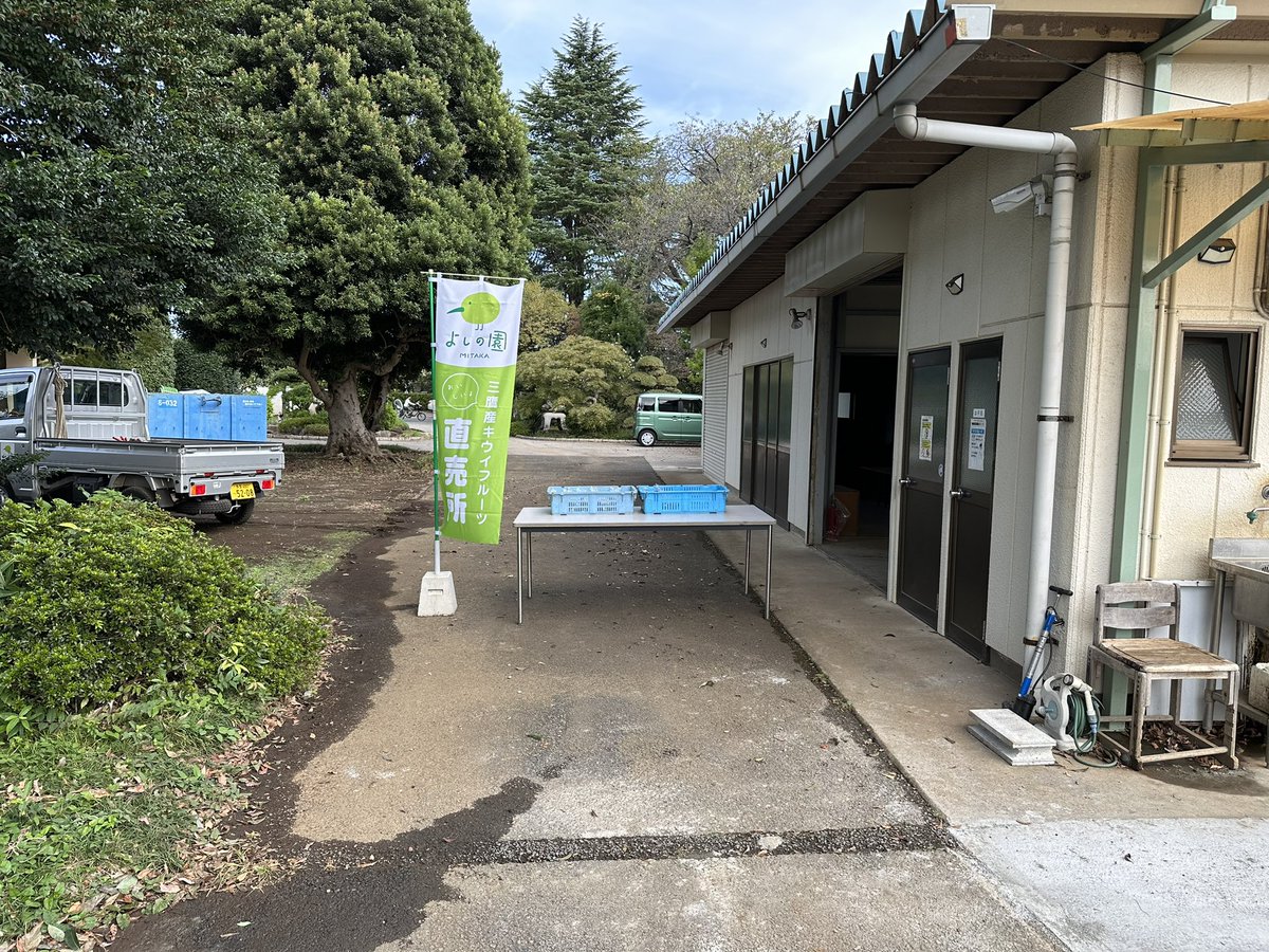 yoshino_en's tweet image. 10/11（水）赤いキウイ【紅妃（こうひ）】対面販売中 
#MyLocal #三鷹 #キウイ #よしの園