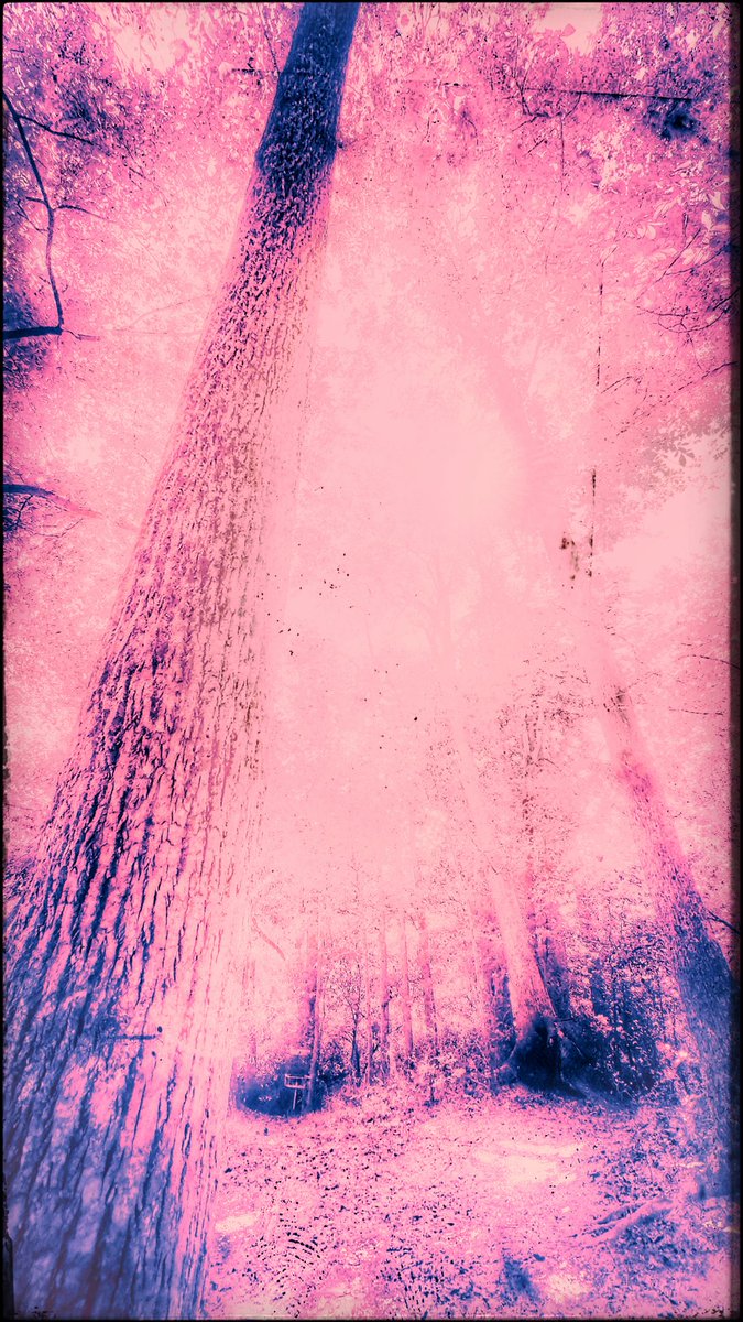 I'll put it to you madly
in this
globe of
countries
and peoples

Bereft
we need
a Civic Sanctum
as the world, re-humanizes

Fear,
and will
and iron
bide
within it's space
between the joists

To triumph over hate
unites this world

as one collective voice

#StandsWithIsrael