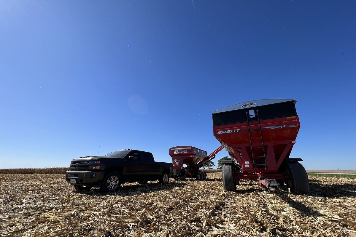 Mathias_Hoff's tweet photo. Final @PioneerSeeds plot of the season out for us, we loaded up on competitive products this year to compare - P1742Q took first place in all five locations 👀 https://t.co/oxNdyboUWh