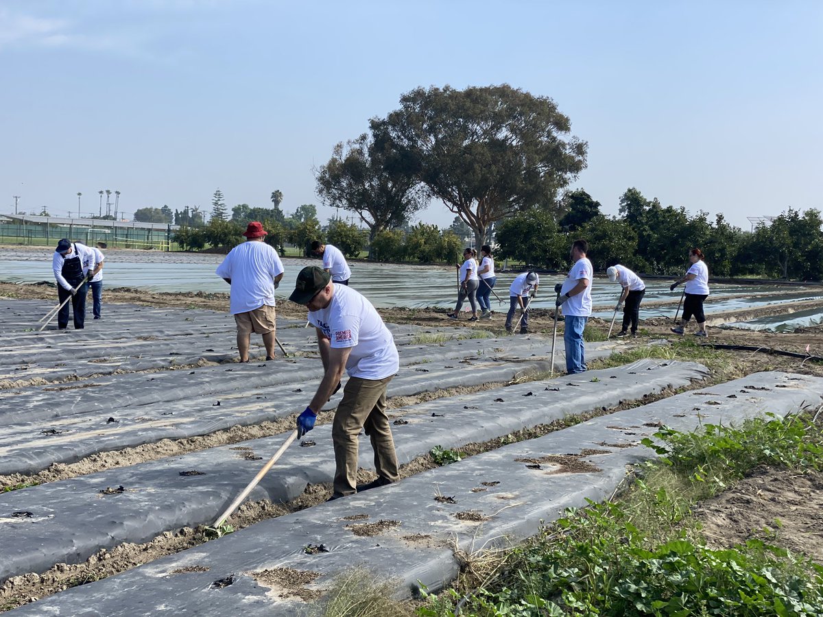 Premier America CU tweet media