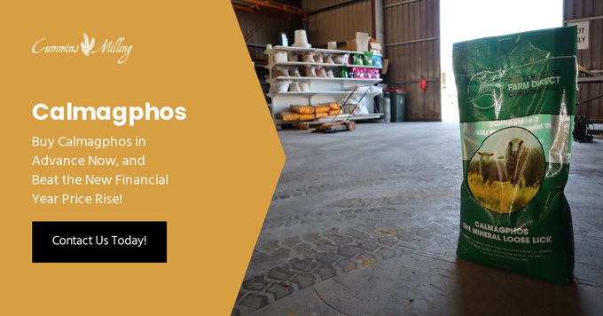 Product of the week - Calmagphos #looselick
$27.64 +GST for 20kg single bag or 1 ton bulk price available. Contact us via email at admin@cumminsmill.com.au or 8676 2047 to order yours!