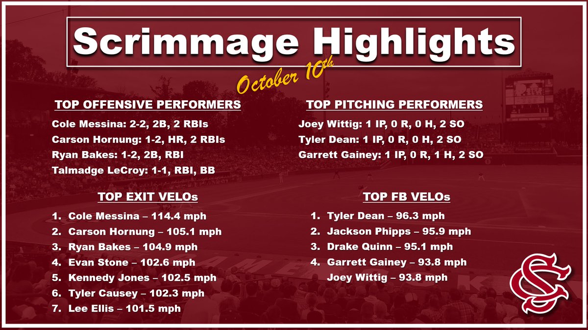 SC Baseball Player Development (@gamecockbsbpd) on Twitter photo 