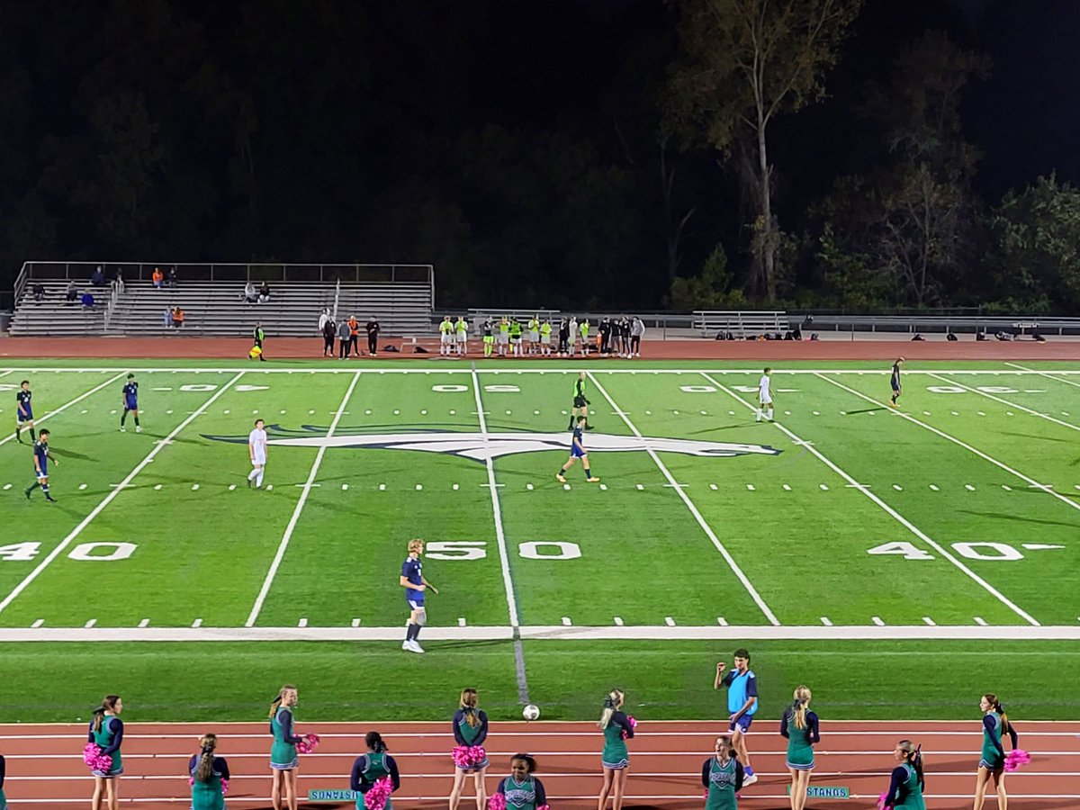 Your Daily Stang tweet media