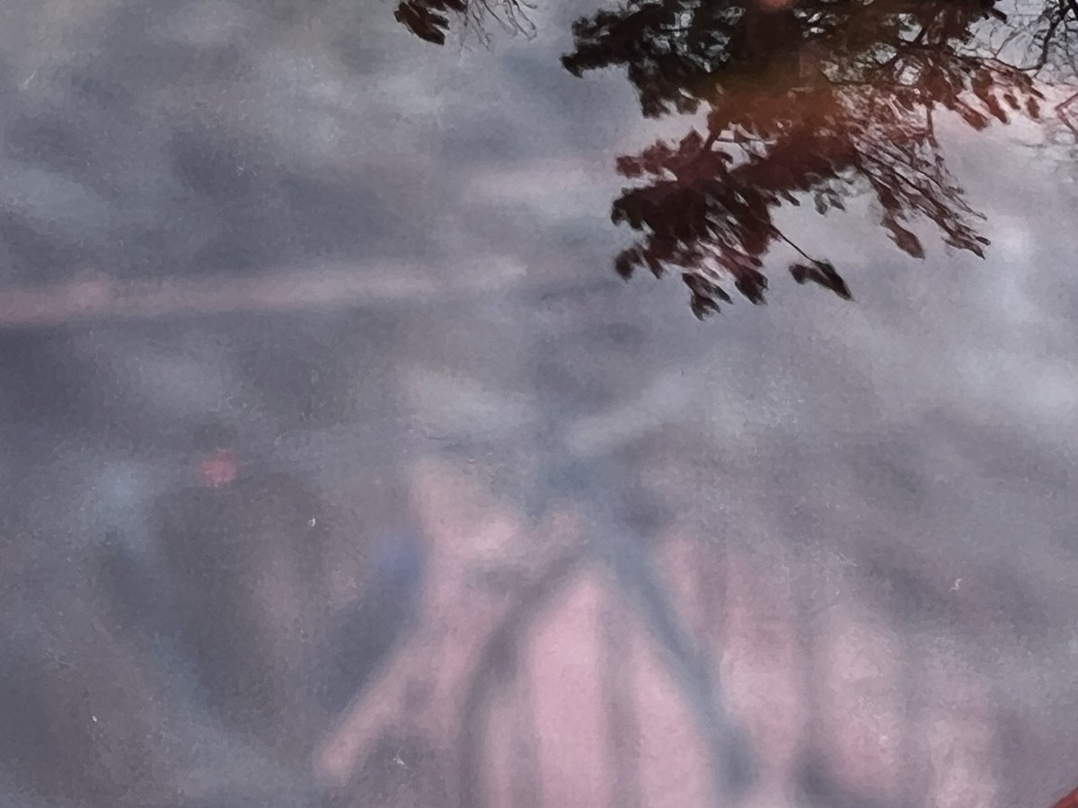 masarutsuruoka's tweet image. 手前と向こう
#iPhone13pro #サングラス越しの世界 #rudyproject #調光レッド