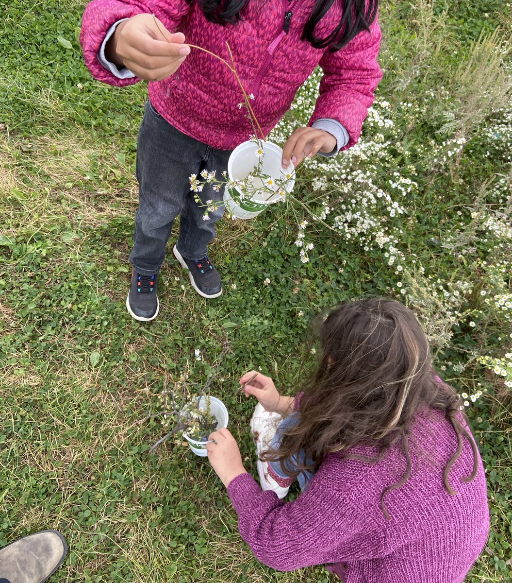 MmeHorowitz's tweet photo. We read about the topography of the Canadian Shield, and now we are gathering materials to recreate it! Talk about bringing text to life! #STEAM #outdoorlearning Stay tuned for the final product! https://t.co/KanAk6fdeH