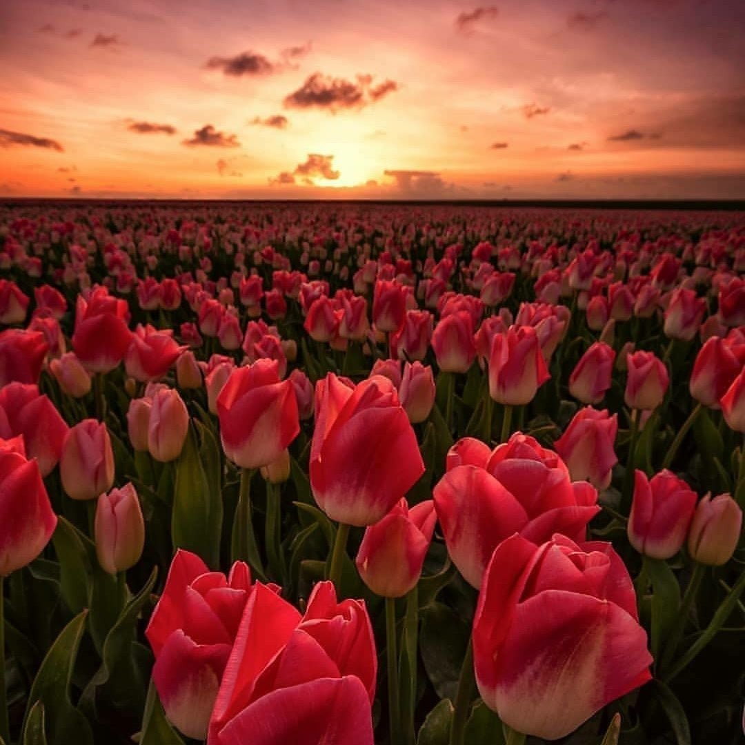 poeticalphotos's tweet photo. https://t.co/gp0E9FiVAk