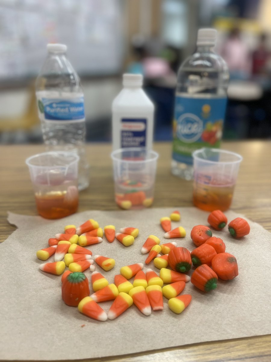acoleman1913's tweet photo. Test It Tuesday: Disappearing Candy Corn 🎃

Our resident scientists predicted which liquid would dissolve candy corn the fastest.
 
Water, alcohol, vinegar (left to right)

It was neck and neck between water and vinegar, but after 60 minutes, look what happened! 

Which one won? https://t.co/2x1rSmrmiR