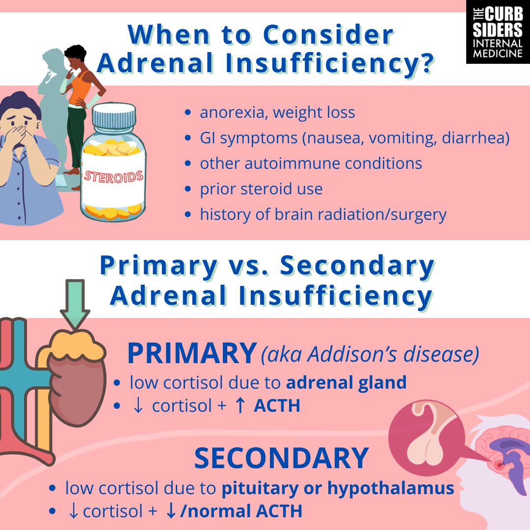 thecurbsiders's tweet photo. 🚨⏰🔔 High Yield Infographic Alert!

Swipe to see these 💎gems from episode #411 Adrenal Insufficiency with Dr. Atil Kargi

🎧 
https://t.co/0QnkFCKNVV

Written and Produced by: Elena Gibson, MD @ElenaGGibson 
Infographic and Cover Art: Edison Jyang @Edisonpfj https://t.co/vbwOjxJhlw