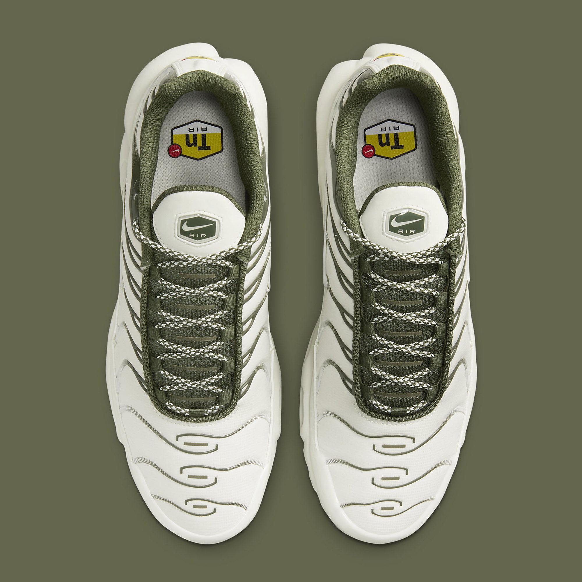 Olive tns 2025