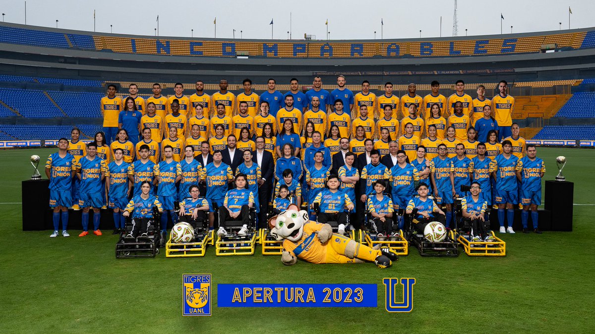 🐯💛 ¡Unión, Familia, Equipo y Perfil Tigre!

𝗘𝘀𝘁𝗼 𝗘𝘀 𝗧𝗶𝗴𝗿𝗲𝘀 | 𝗔𝗽𝗲𝗿𝘁𝘂𝗿𝗮 𝟮𝟬𝟮𝟯
