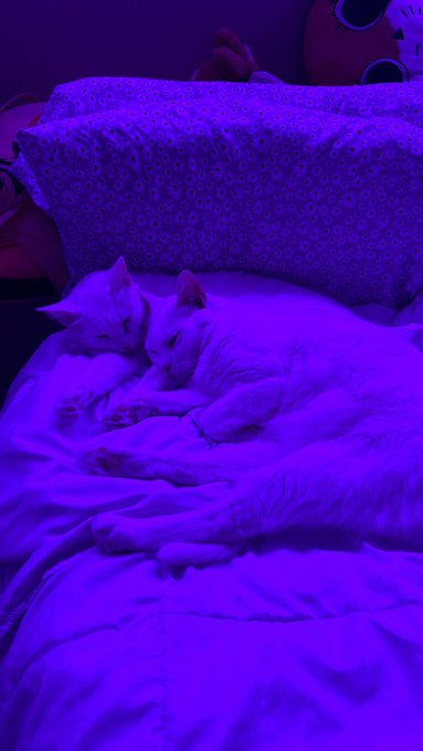 the boys 🥺 https://t.co/YsMsZ9abjS