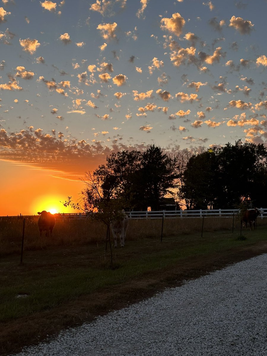 Dr. Britton Hart tweet media