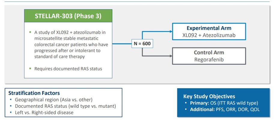 Five-Year Overall Survival Analysis of the JIPANG Study