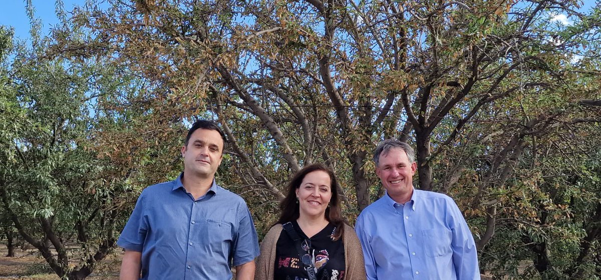 Bexyl Project tweet media