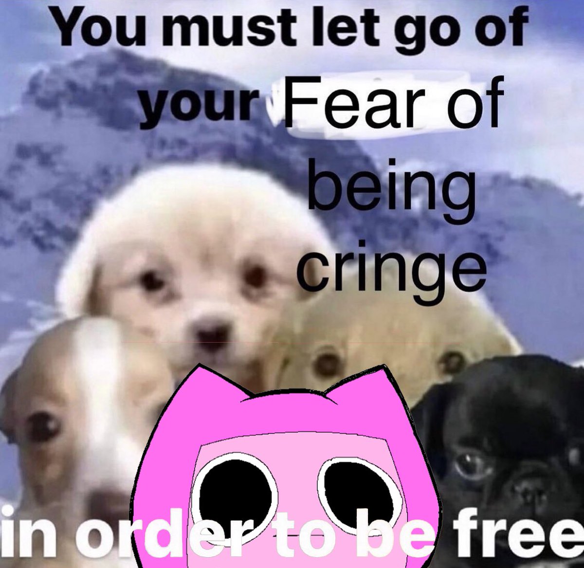 tubby cats tweet media