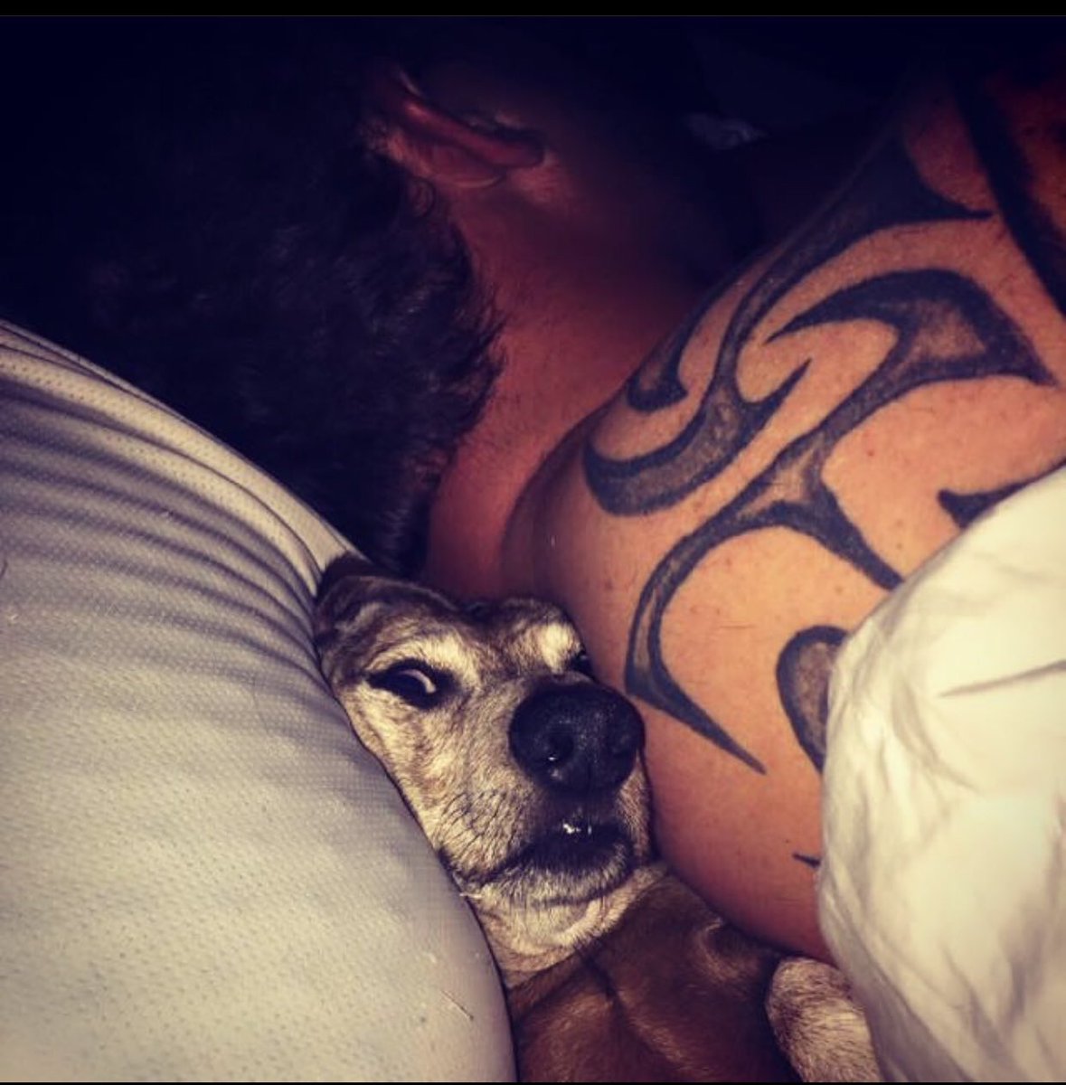 Good night 🌙 guys and. Home alone with my sleep mate and what about you 😂😂😂