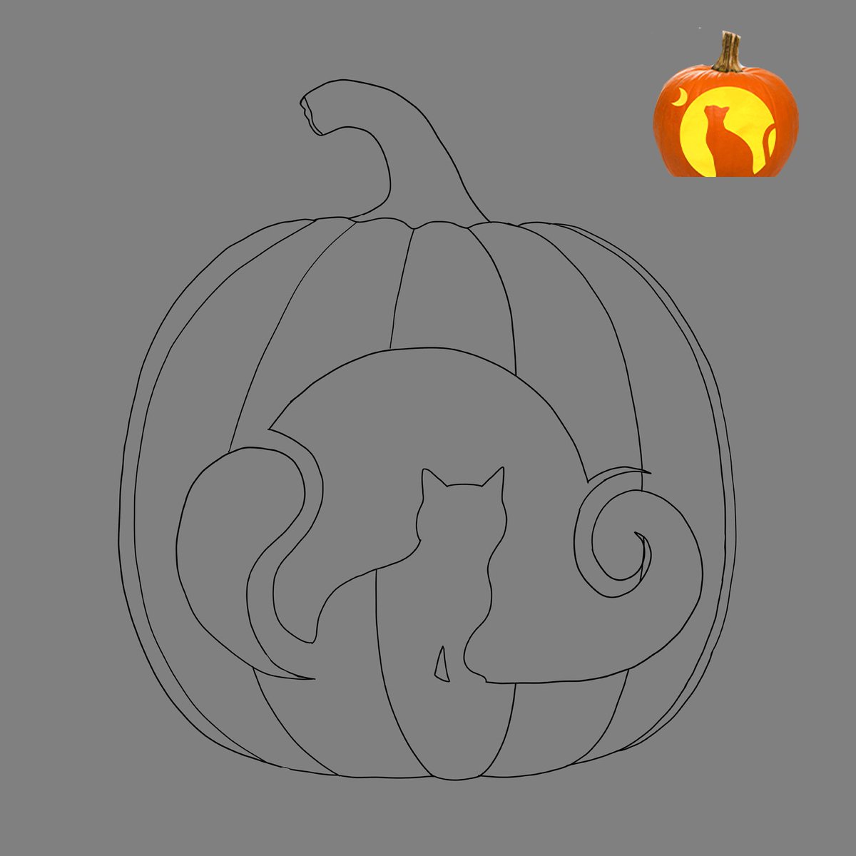 Izobella tweet media