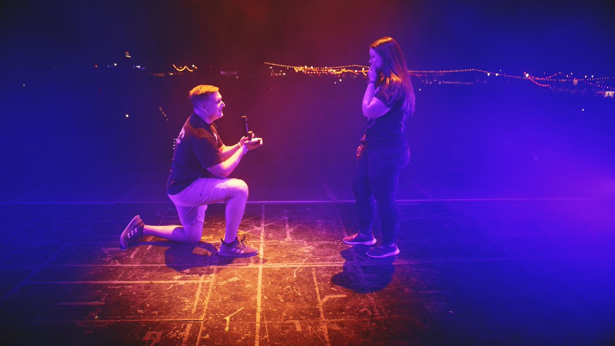 Professor Stink - Connor tweet media