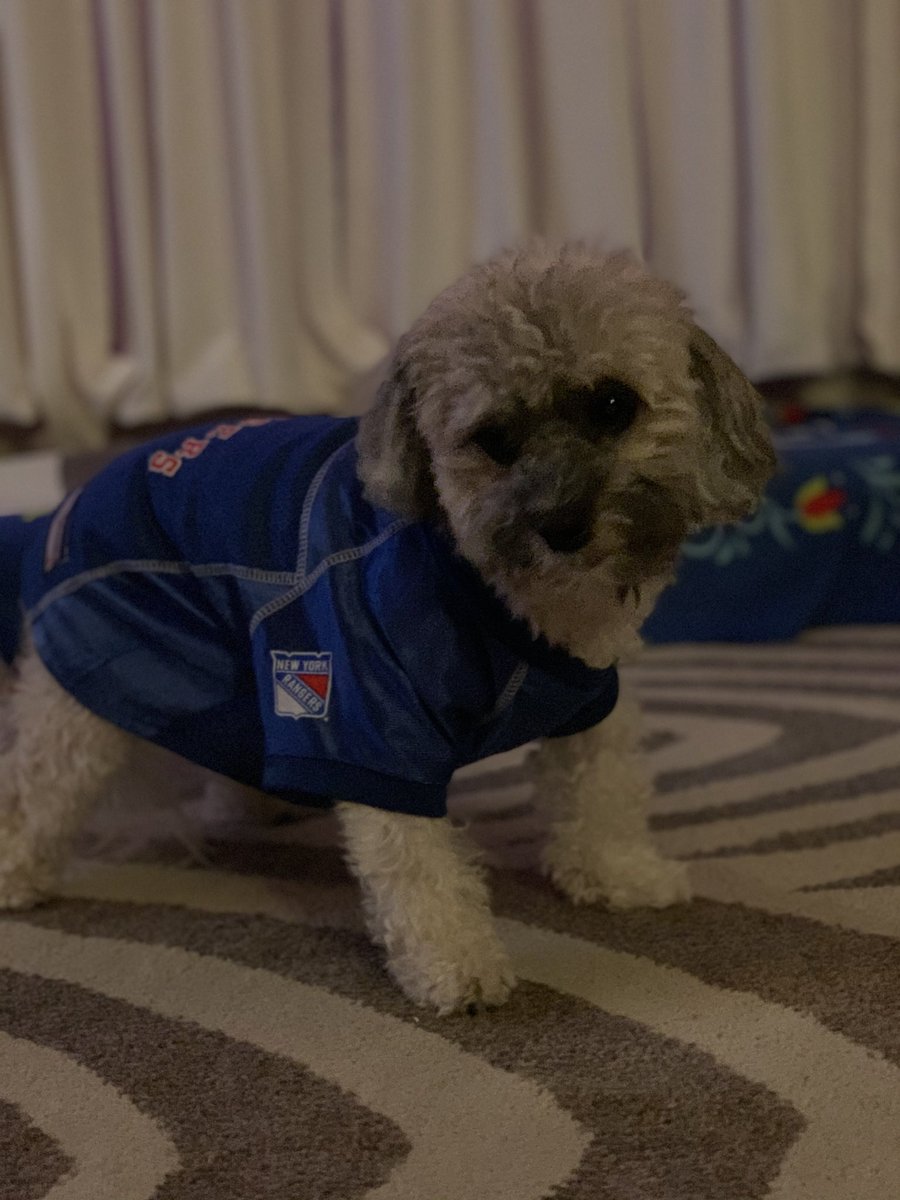 Olaf_LittleMan's tweet photo. Hi paw friends I hope today is a tail wagging day🤗! What will be today’s October countdown..🤔, it’s something my mommy @Catiexbabes really loves, plus the season started today!
Throwback: Hockey Season 2019🏒🐶🥅@NYRangers #NYR #October10th #OctoberCountdown https://t.co/nh7HWorsvH