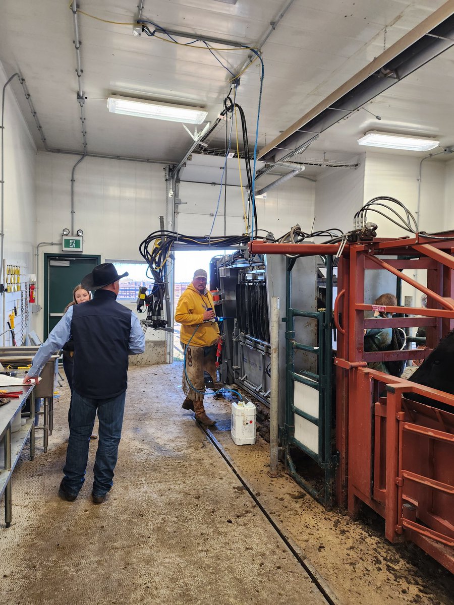 Dr Bart Lardner 🇨🇦 (@drbart_beef) on Twitter photo Busy day for #LardnerLab #PregnancyDiagnosis #CanolaFatResearch #PolycropResearch #LowStressCattleHandling #CowCalfManagementLab #ANSC410 #AppliedBeefResearch <a href="/cabritanchak/">Cabri Tanchak</a>
<a href="/ECornand/">Erika Cornand</a> <a href="/ShelbyRobinson_/">Shelby Robinson</a> <a href="/agbiousask/">USask AgBio</a> Busy day for #LardnerLab #PregnancyDiagnosis #CanolaFatResearch #PolycropResearch #LowStressCattleHandling #CowCalfManagementLab #ANSC410 #AppliedBeefResearch <a href="/cabritanchak/">Cabri Tanchak</a>
<a href="/ECornand/">Erika Cornand</a> <a href="/ShelbyRobinson_/">Shelby Robinson</a> <a href="/agbiousask/">USask AgBio</a>