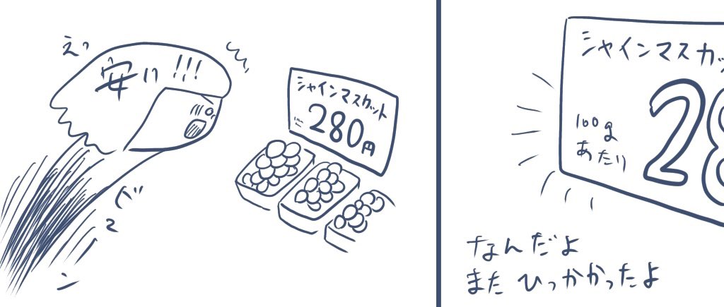 スーパーとかの値札見て安い!!と飛びつくと「100gあたり」でガッカリする 