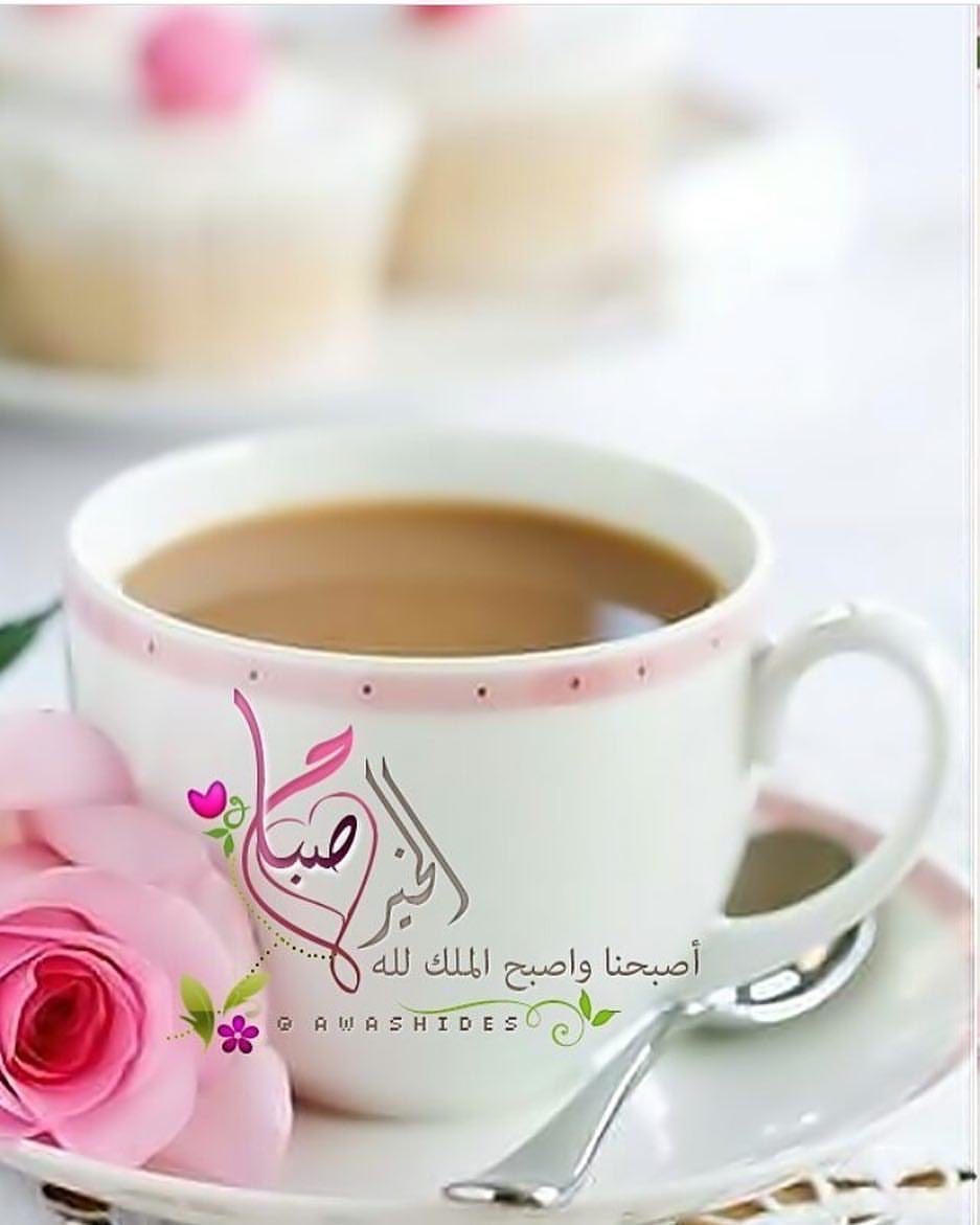 بو حسين MSbof10 (@msbof10) on Twitter photo 