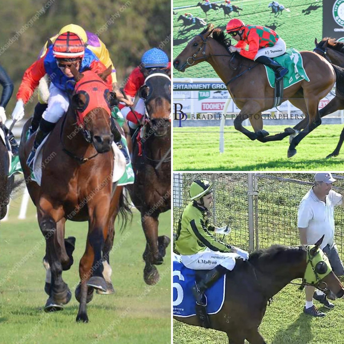 RacingShailer's tweet photo. 🥇🥇🥇
Not a bad start to October with #DEVOCEAN winning back to back races, #TWIGMAN impressing when winning second up and just yesterday #VIADELAMORE won at just his second start for the stable!
To get involved at a range of budgets visit https://t.co/4fOEPueG2k https://t.co/WUdBguvxsx