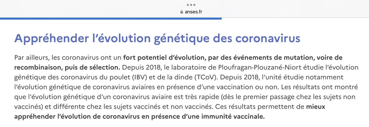 Patrick GUERIN tweet media