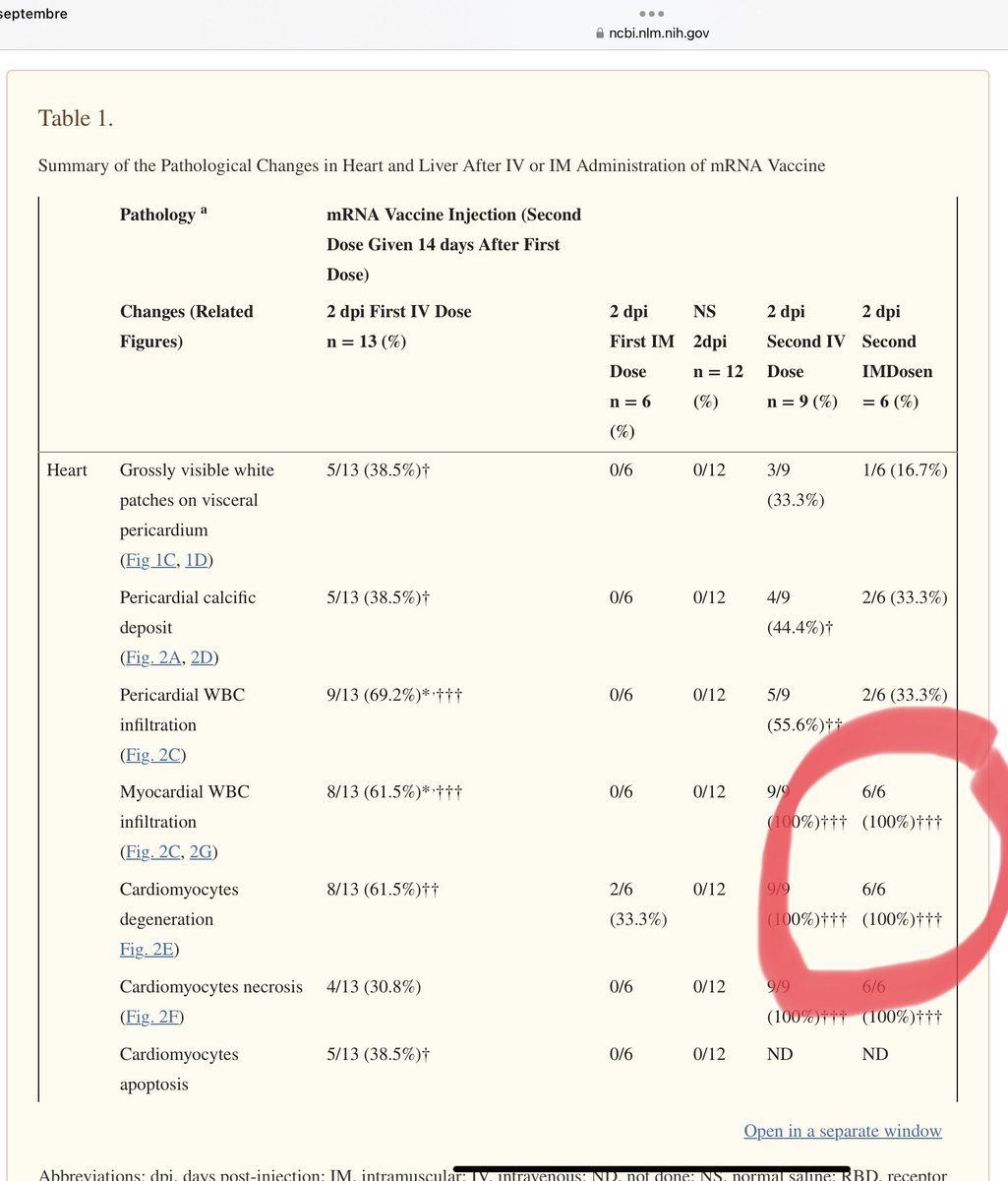 Patrick GUERIN tweet media