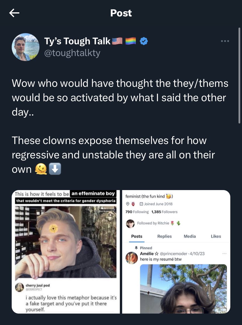 bbangmilvr's tweet photo. publicly announcing your support for israel on the basis of it being lgbtq+ friendly while actively promoting and posting transphobic viewpoints is insane to me, especially when israel would k*ll you for holding hands with a man. the foundation for your support is a sham https://t.co/ncTkL1OLf9