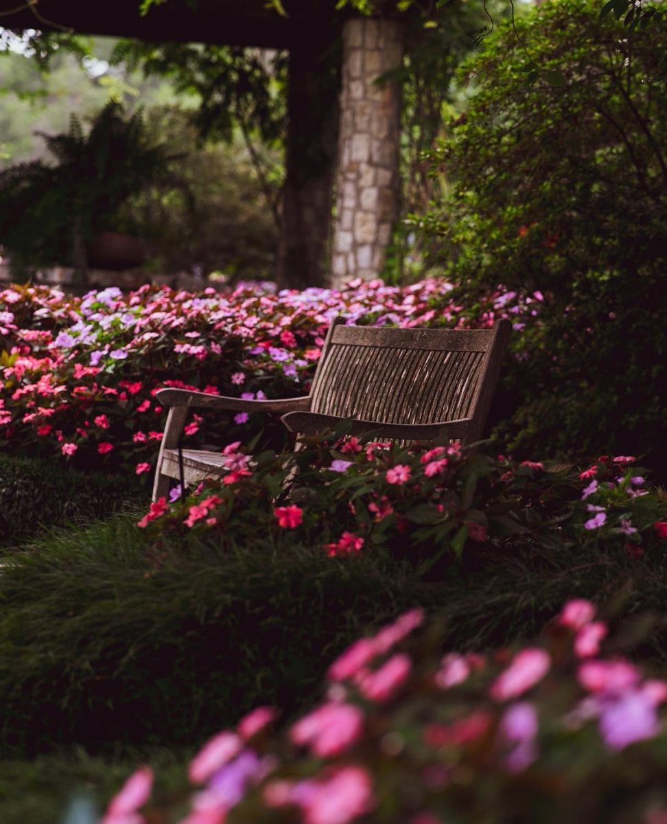 incaberry_app's tweet photo. Better nutrition &amp; overall health, food freedom, saving money, environmental impact. Reasons to start a garden are many &amp; vast, but can be as simple as a beautiful space where you can reflect, observe and tend to the fruits of your effort. #incaberryapp #incaberrycommunity https://t.co/AqJOBbyWTP