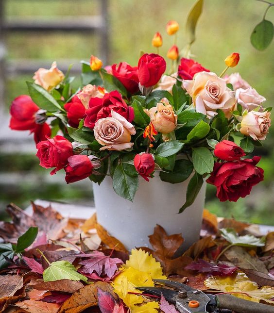 <a href="/PieraToninelli/">Piera Toninelli</a> sereno mercoledì