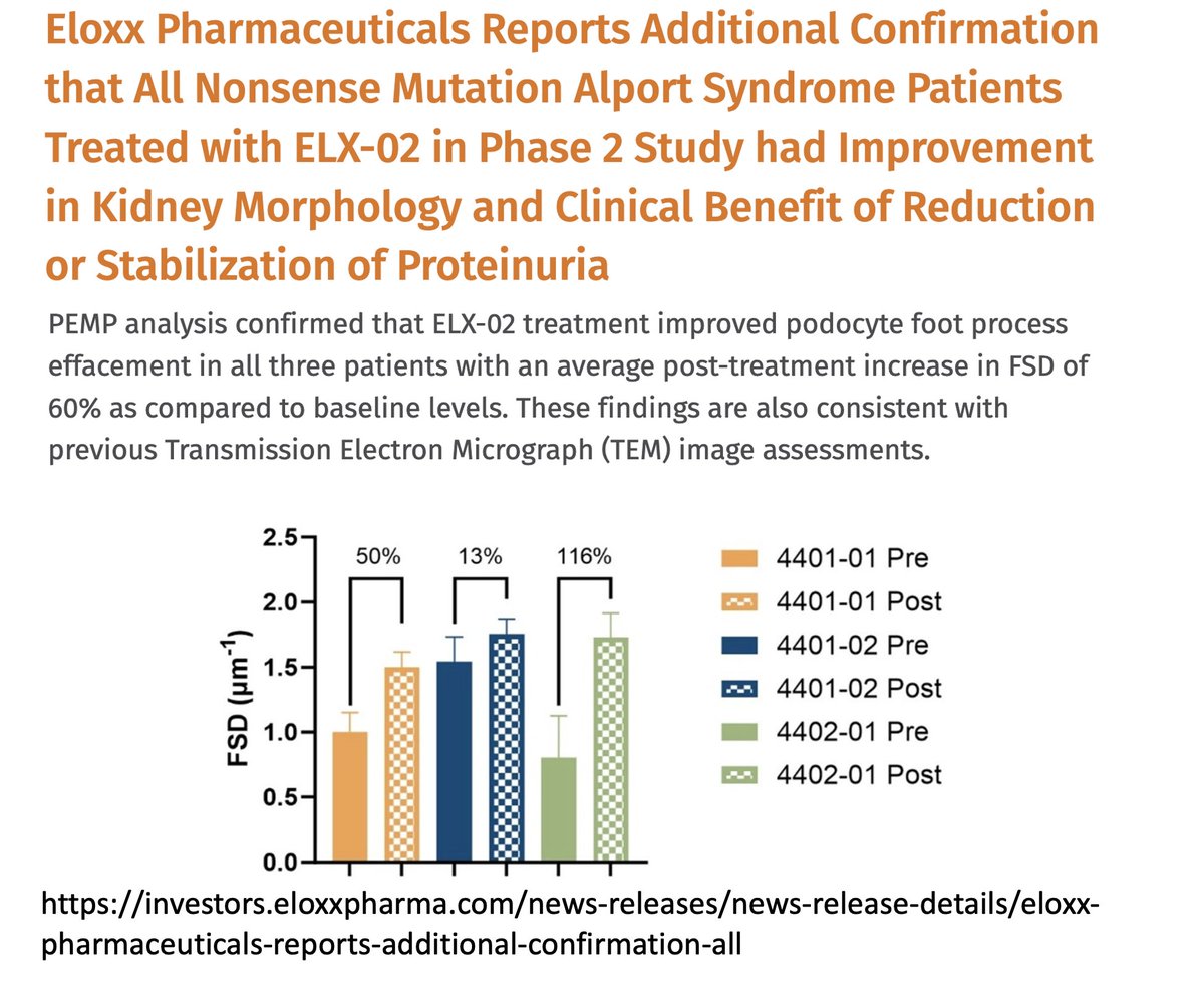 Amazing press release from <a href="/eloxx_pharma/">Eloxx Pharmaceuticals</a> about  <a href="/NIPOKA_Podocyte/">NIPOKA</a> cooperation in Alport syndrome treatment.Our Precise Podocyte Morphology Procedure (PEMP) has shown a 60% increase in Filtration Slit Density (FSD) after ELX-02 treatment, underscoring its impact in medical research