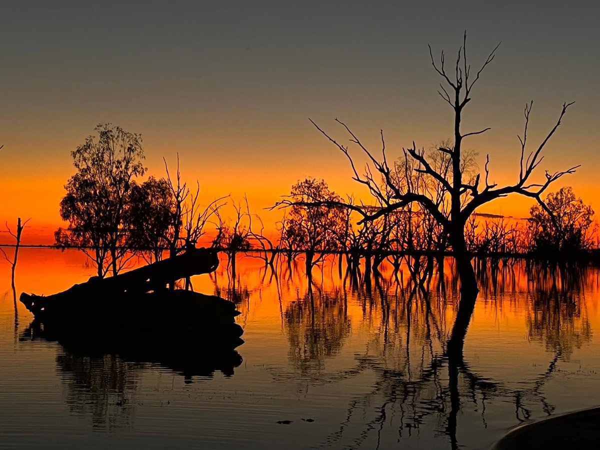 Posted a couple of photos last night of the #sunset on #LakeMenindee. Since been through my phone and this is definitely the best of them #amazing