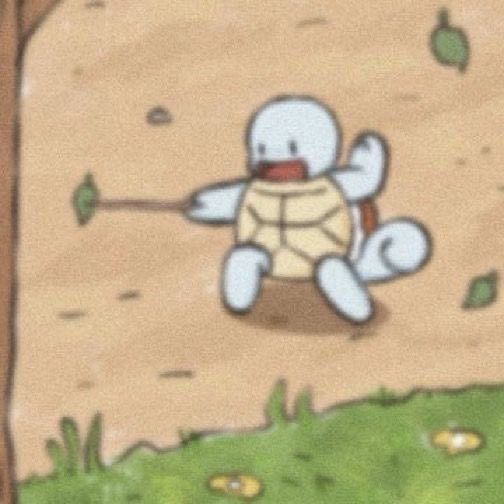 ch0nkycat's tweet photo. smol squirtle 🤏🏻 https://t.co/Yi42zmmKno