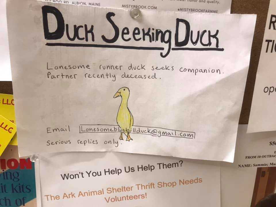 DuckButtCrypto's tweet photo. Serious replies only https://t.co/YYSv2sivel